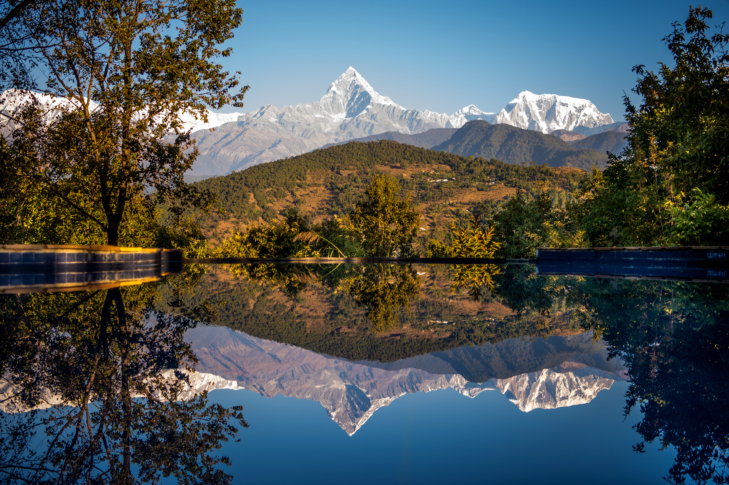 LOCAL EXPERT IN THE HIDDEN HIMALAYAS